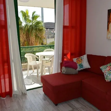 Family * 플라야데라스아메리카스